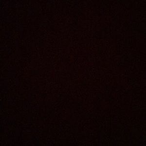 Meet your Posher, Bella